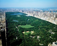 Aerial view of Central Park, New York 8″x10″ Photograph Print 8×10