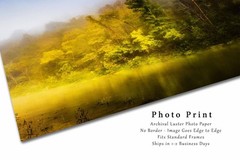 Trees Photography Print: Arkansas Buffalo National River Ozark Mountains Photo