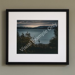 Lone Heron At Waters Edge Photography Print Sunrise Bird Contemplative Beauty