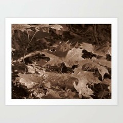 art print 21″ x 17″ Leaves en Sepia photography artistic woods parks botanical