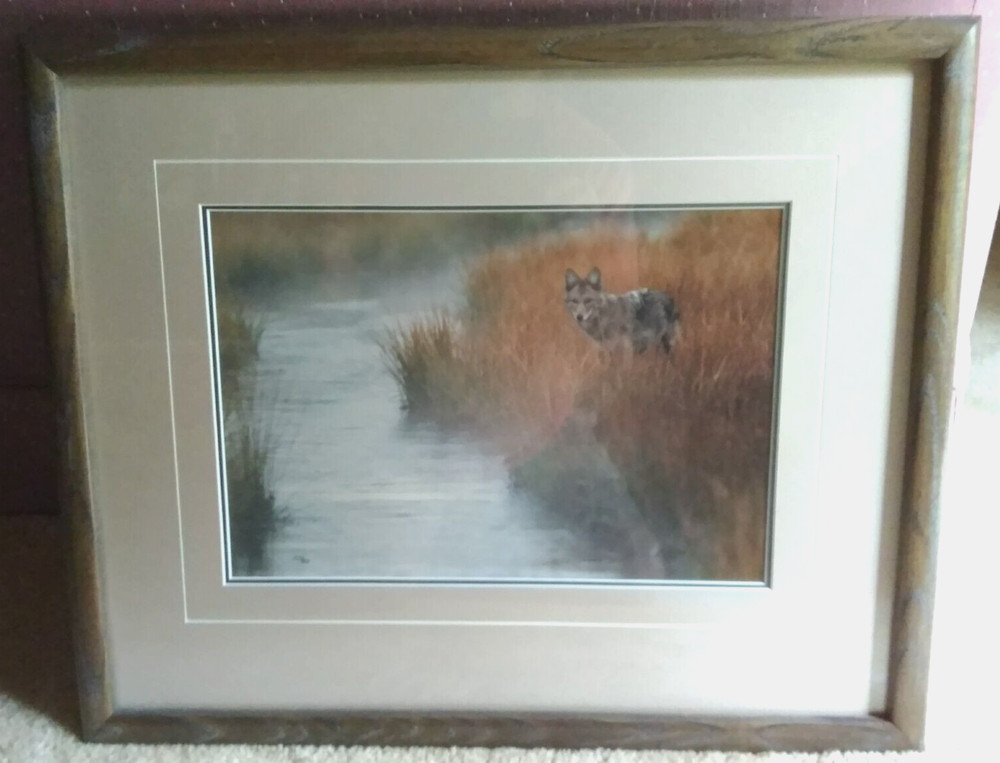 “Misty Morning Creek – Coyote” by Thomas Mangelsen – Limited Edition of 950