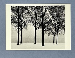 Chicago 1950 Art Print Card Photo By Harry Callahan Fotofolio 4”x6”