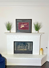 Thomas Mangelsen Signed Photo 1978 Seagull Flight LE #494/500 Framed 29″ x 25″
