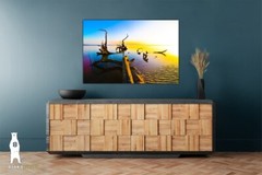 Driftwood Beach Décor Art Prints – Big Talbot Island, Boneyard Beach, Florida