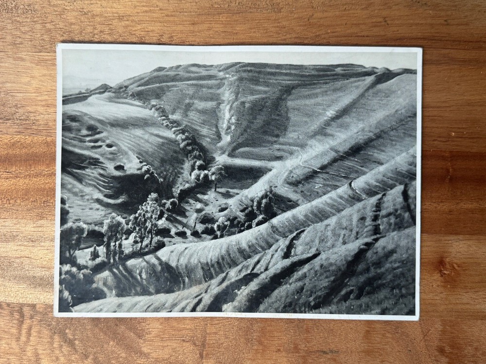 Vintage EGGARDON HILL Dorset Ernest Proctor National Gallery Licensed Photograph
