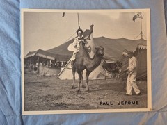 Vtg Press Photo Circus Clown PAUL JEROME B&W Smoking Riding A Camel
