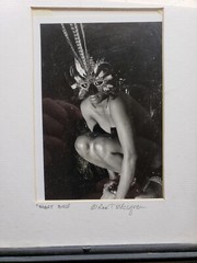 “Night Bird “10x11x1 Photograph Art In Wood Glass Frame.