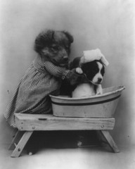 dog puppy pup baby art print Harry Whittier Frees 8×10 vintage photo picture #2