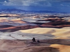 ART – Original Signed John Clement 35mm Photograph 16×13 Framed Modern Landscape