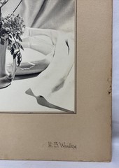 Vintage 1952 Original H.B Woodling “Ivory & Old Lace” Still Life Photograph