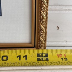 Vintage Framed Garden Landscape Photo Print Gold Ornate Frame 12″ x 15″