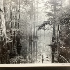 Blair Pittman: “Old River” – Original Gelatin Silver Print Photograph