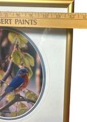 Carl R. Sams II Loon Photo Blue Bird Tree Branch Professionally Framed & Signed