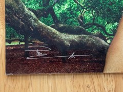 Peter Lik – Self Portrait in front of Tree – Hand Signed w/ Protective Film