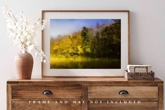 Trees Photography Print: Arkansas Buffalo National River Ozark Mountains Photo