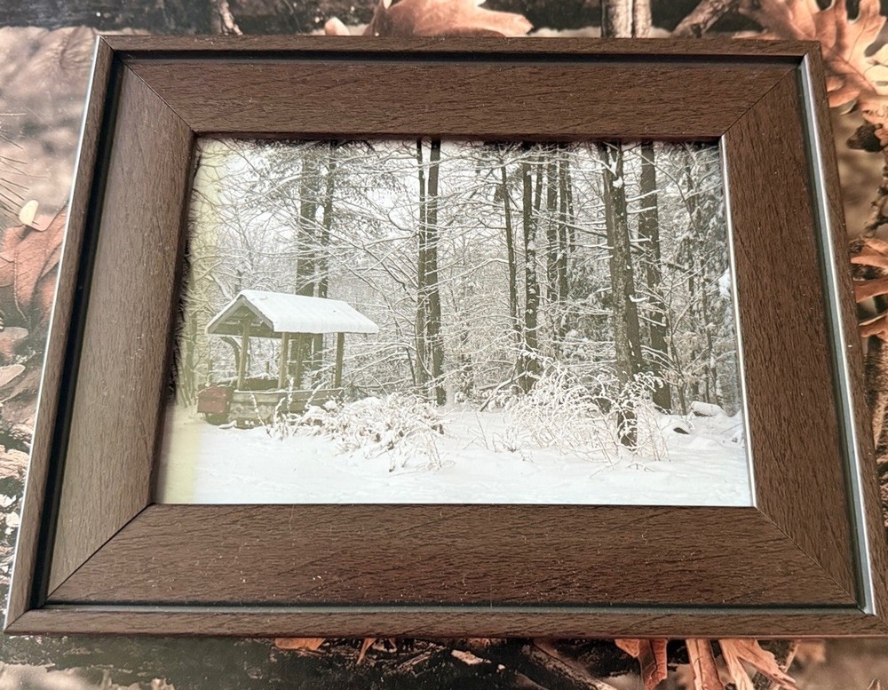 Original photograph, ‘Winter Renewal’ by Serene Scenes in Maine, 5×7