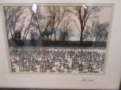 Natural Imagery Signed Photograh by William Ervin “A Gathering of Swans” Framed