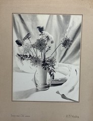Vintage 1952 Original H.B Woodling “Ivory & Old Lace” Still Life Photograph
