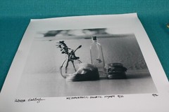 Vintage Photo Art Metamorphosis Aquatic Nymph 9/35 By Rebecca Gallagher 4/96