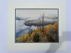 Jay Steinke Hungry Jake Lake Fall Leaves Minnesota Signed Photo Matted 19×16