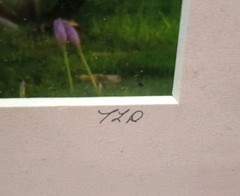 Monet Garden Giverny France Signed Photography Framed Matte 12 X 15 Claude Monet