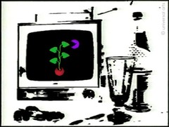 MARIO STRACK – Grow & Eat Extended Videography Print Graphic Signed Still Life