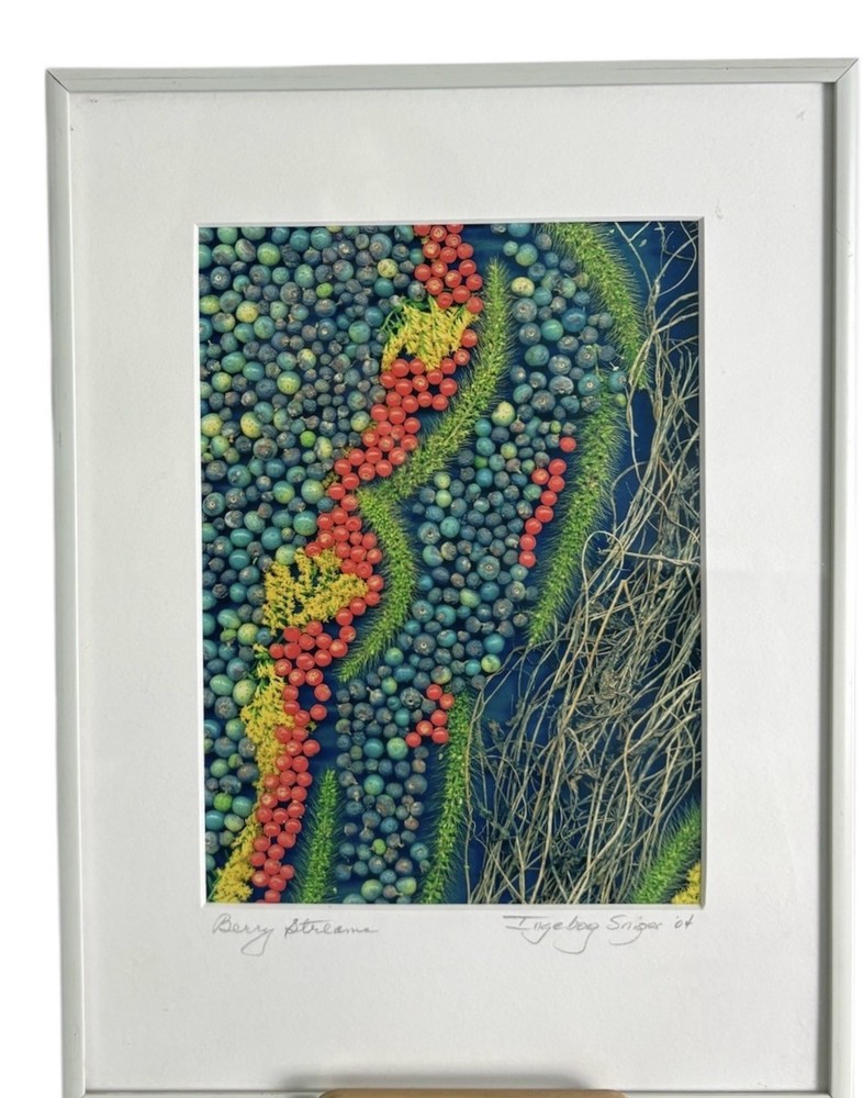 Signed Framed Botanical Berry Photograph Nature Wall Art Modern Colorful