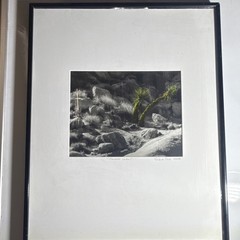 Steve Rich ‘Photon Lean’ Signed Framed Black & White Landscape Photograph Art