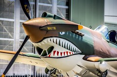 Aviation Decor, WWII Aircraft Wall Art, P-40 Flying Tiger, 20″x30″ canvas Framed