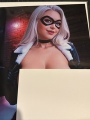 Cat Felicia Cosplay Bangers Comics Virgin Cover Ltd 100 RARE LIMITED ALMOST OUT