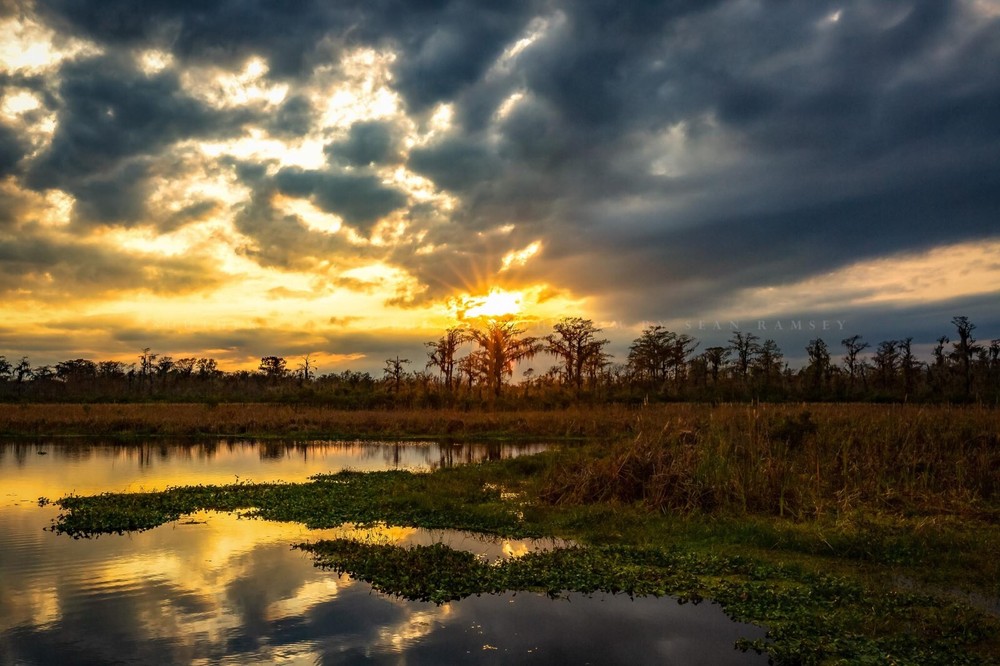 Swamp Photography Print – Golden Sunset Over Bayou in Louisiana