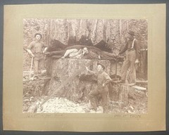 Antique GEORGE W KIRK Stimson Mill MASSIVE Cedar TREE Everett Washington PHOTO