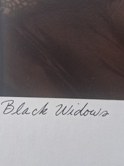 Black Widows Photograph Gary Johnson Signed Oddity Flapper Women Hand Colored