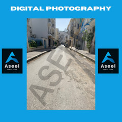 Serene Urban Landscape – Tunis City Street View 2022, Digital Photography- st003