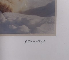 Vintage Photo Jim Stamates Polar Bear Kickin’ Back Framed Matted 10.25”x 8 3/8”