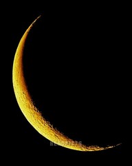 Wall Decor, 8×10 inch 9 Percent Full Moon (Yellow Waning Crescent) Print M9010
