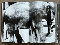🎈MEGA RARE! Daido Moriyama – Light and Shadow 1982, First Edition! Great Copy