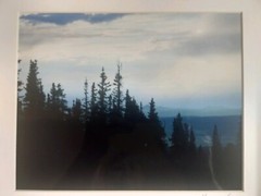 14″x11″ Matted Picture Photo Landscape Photography Print Sky Mountains Trees