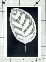 Amanda Means (b. 1945) Leaf #12, 1990 Art Photo Print Card