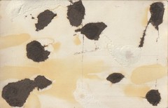 Photo postcard migration/demonstration