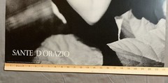 Sante D’Orazio B&W Art Poster 24×36 1989 Print By Devon Editions Litho In USA