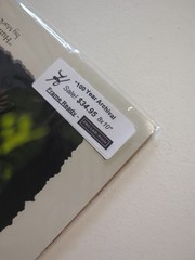 Hummingbird Pro Lab Frame Ready 8×10 Print By Mark J. Harlow 100 Year Archival