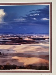 ART – Original Signed John Clement 35mm Photograph 16×13 Framed Modern Landscape