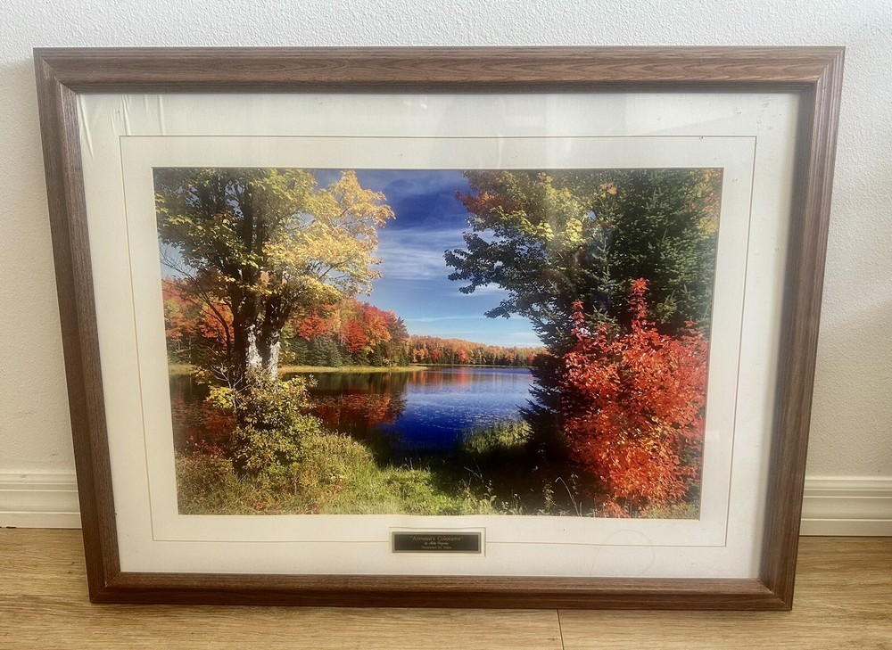 Vintage Photo “Autumns Colorama” By Mike Crowley Framed Photograph Fall, Trees