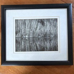 Matted & Framed Black & White Forest Trees Lake Reflection Landscape Photograph