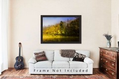 Trees Photography Print: Arkansas Buffalo National River Ozark Mountains Photo