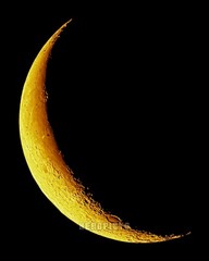 Wall Decor, 8×10 inch 12 Percent Full Moon (Yellow Waning Crescent) Print MB0002