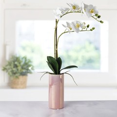Dolly Parton White Artificial Orchid in Pink Ceramic Pot, 9.8×5.5×24 Inch