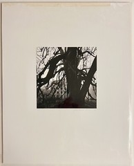 Michael Kenna Le Desert de Retz Study 13 France 5/45 signed photograph