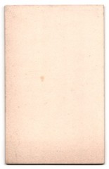 Photograph A. Klusmann, Hildesheim, Zingle 20, portrait young woman in Biedermei